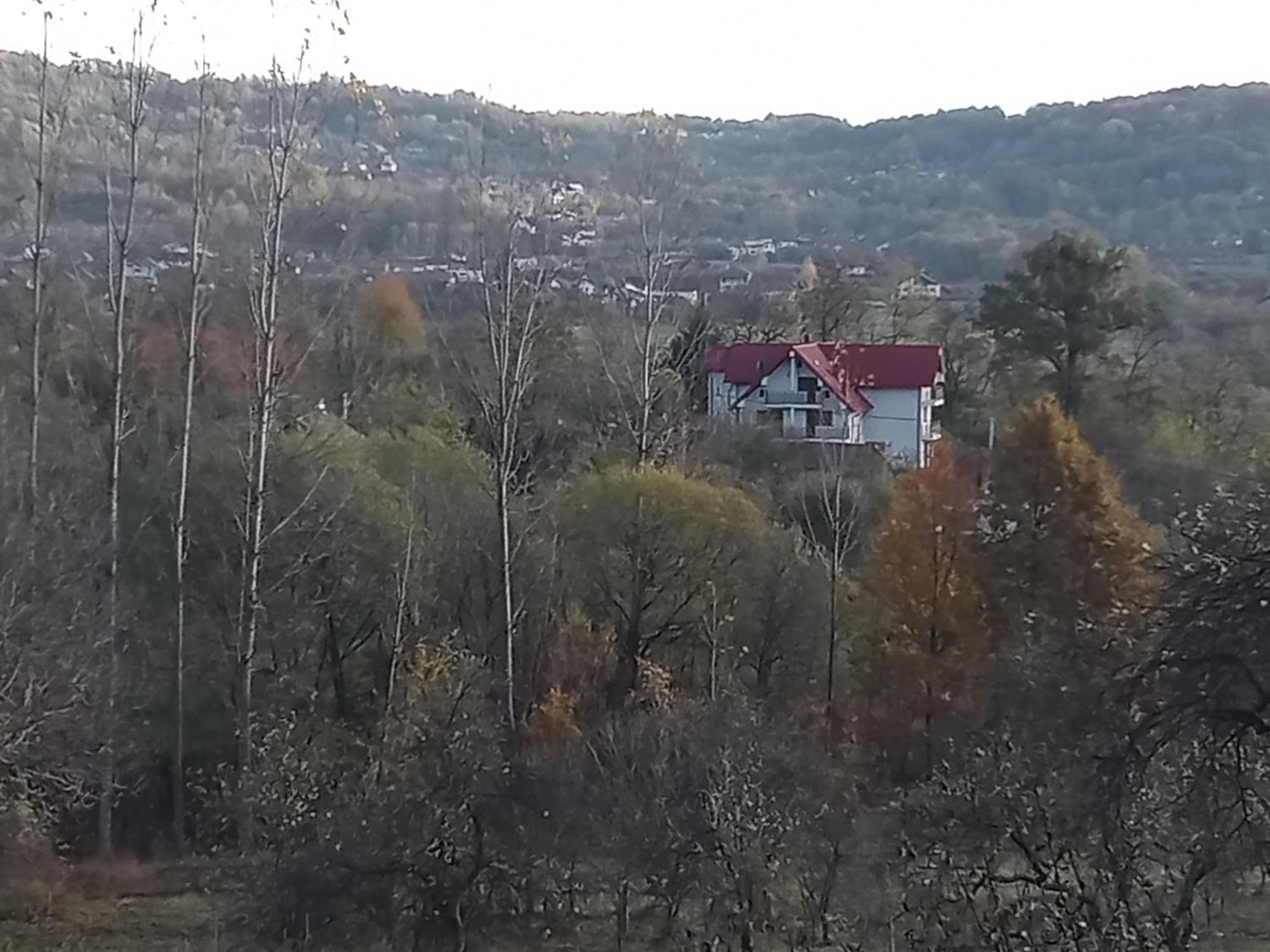 Perla Argesului, Ciubar, Piscina, Lift, Gratar, Cabana, Pensiuni, Hotel Cazare Transfagarasan Curtea De Arges Albestii de Arges Eksteriør bilde