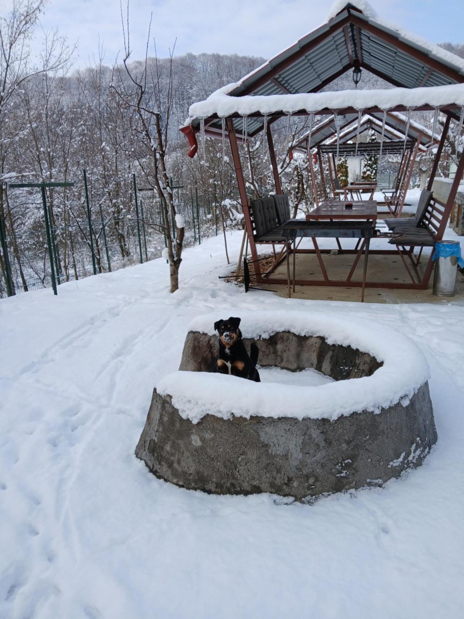 Perla Argesului, Ciubar, Piscina, Lift, Gratar, Cabana, Pensiuni, Hotel Cazare Transfagarasan Curtea De Arges Albestii de Arges Eksteriør bilde